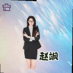 赵飒